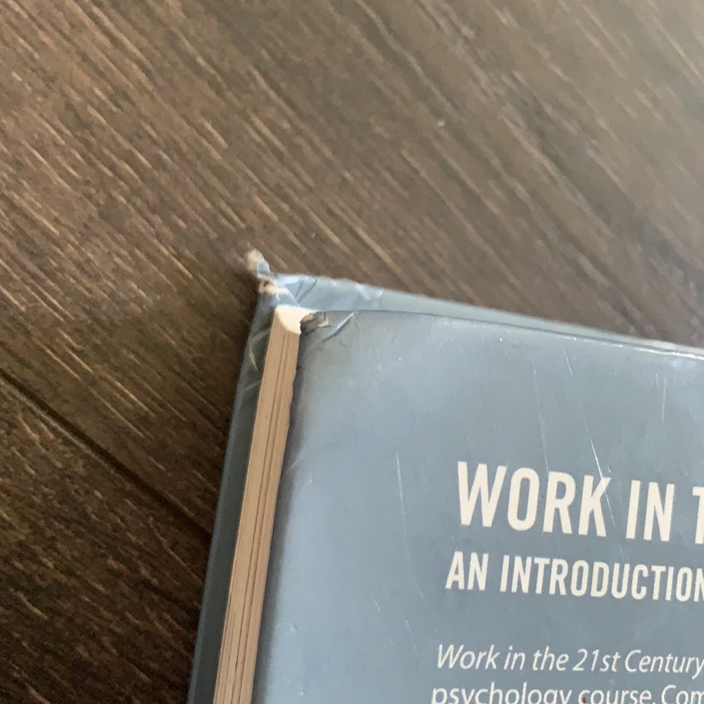 Work In The 21st Century Textbook - Picture 3 of 5
